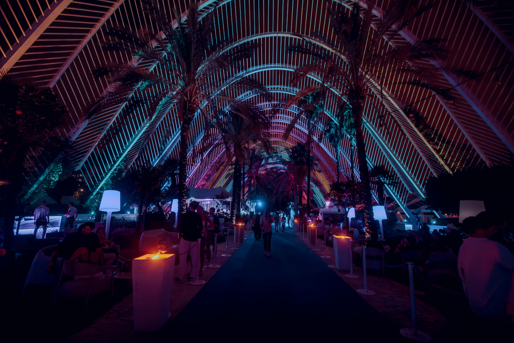 SABADO 8 UMBRACLE