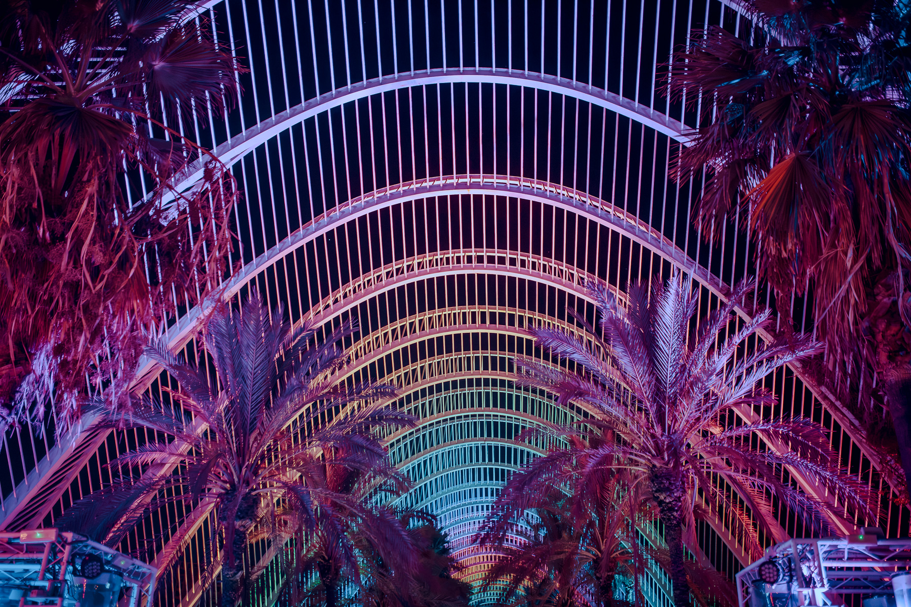 SABADO 29 UMBRACLE
