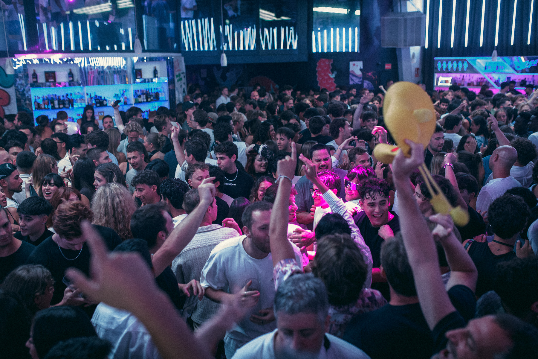 SABADO 29 MYA